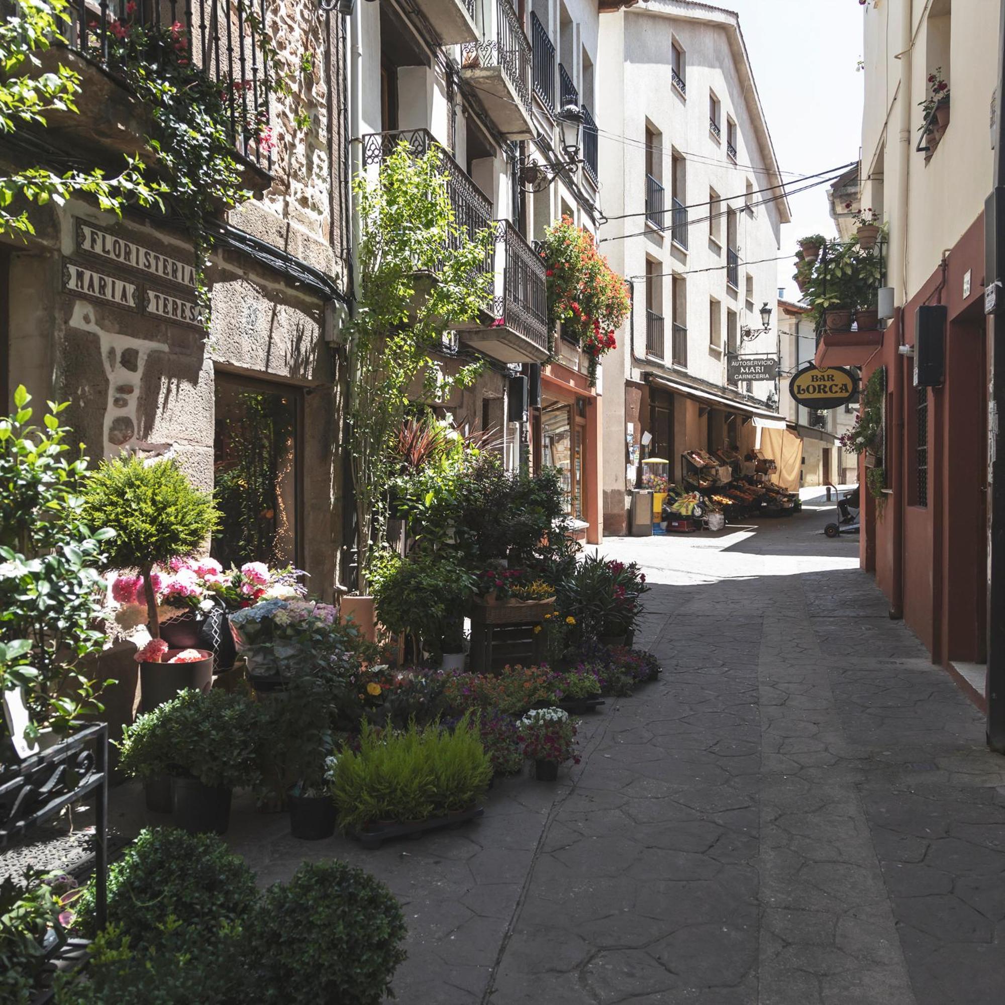 Apartamentos Turisticos Real Valle Ezcaray Zorraquín Exterior photo